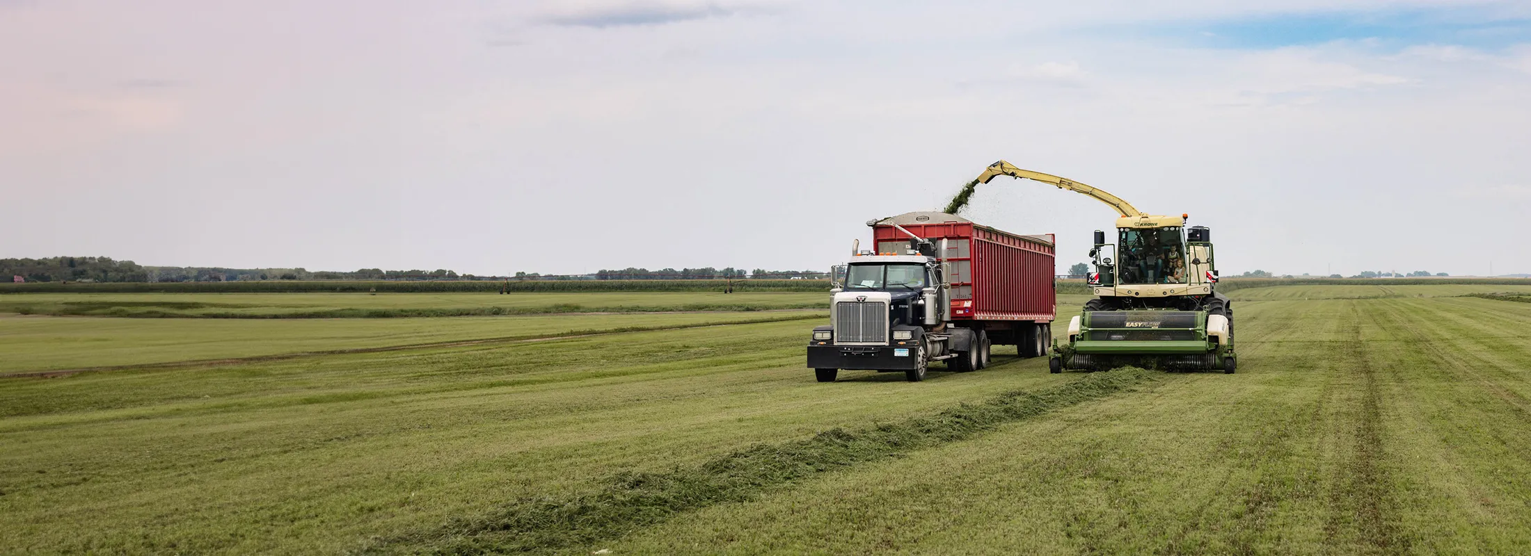 a harvester transferring materials through an extended chute to a truck.