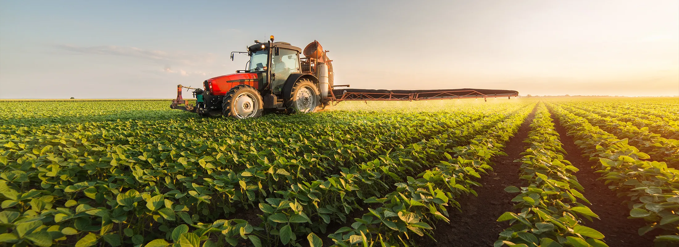 a tractor with a sprayer attached spraying a field